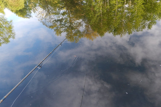 Close up of a fishing rod handle and reel with a calm lake and trees in the background
