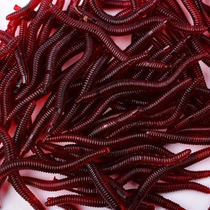 Colorful artificial earthworms for fishing in various lengths, ideal for attracting fish