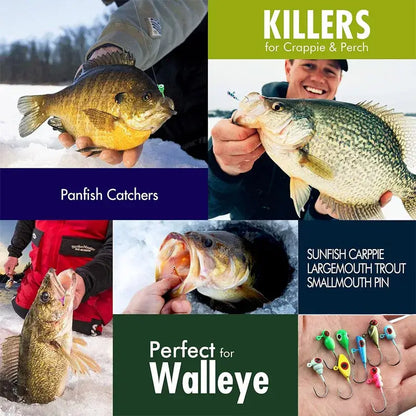 Colorful ice fishing jigs displayed with various caught fish for effective winter fishing
