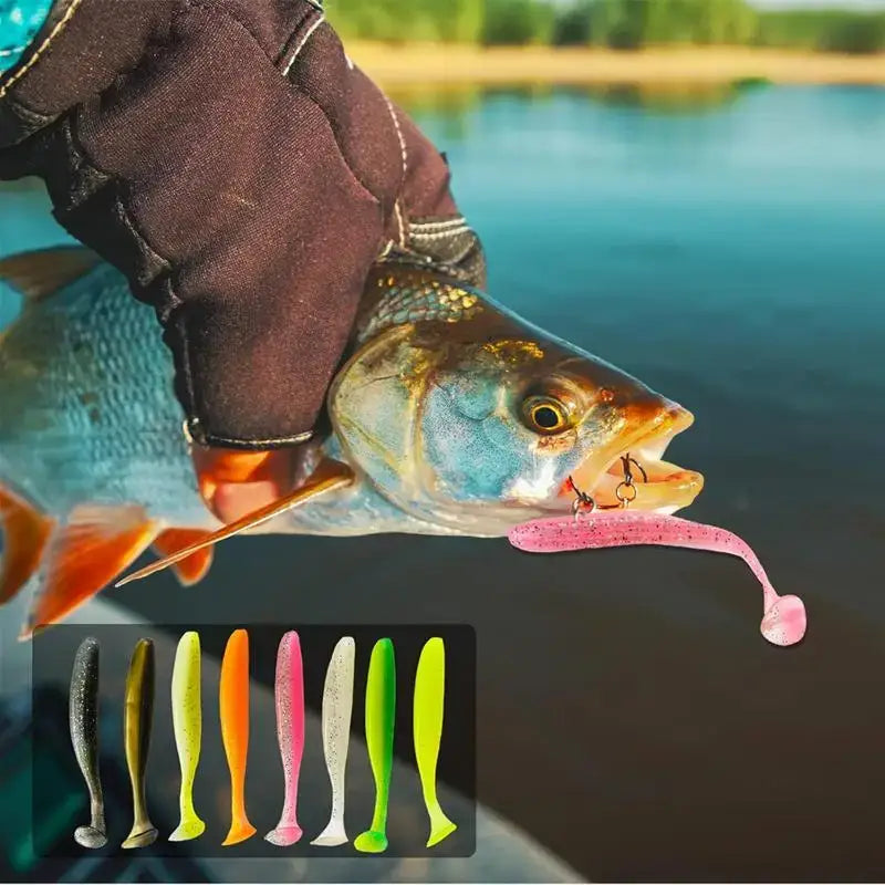 Angler holding a fish caught with a pink paddle tail swimbait among various other lure options