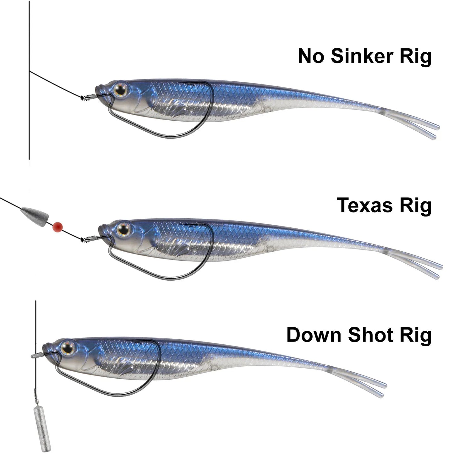 Bass fishing soft bait options including No Sinker Rig, Texas Rig, and Down Shot Rig showcased
